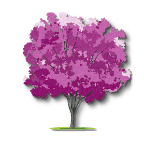 Redbud Telecom Consulting - FCC RHC Program Management